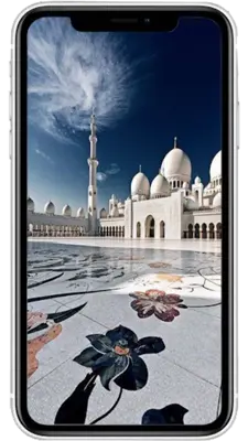 HD Wallpaper of The Mosque android App screenshot 2