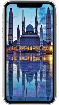 HD Wallpaper of The Mosque android App screenshot 3